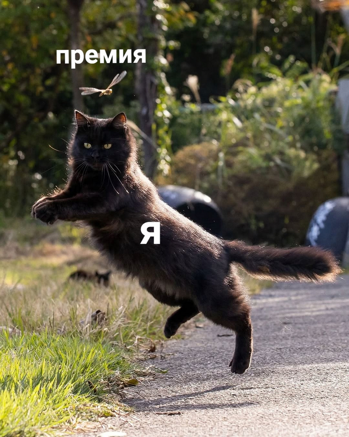 � � ������