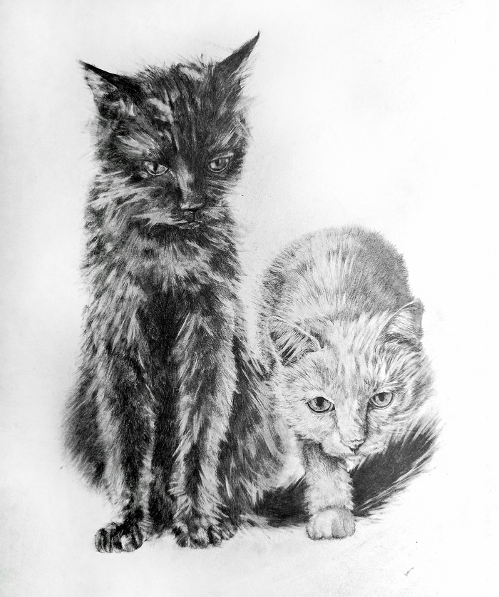 ���� �����