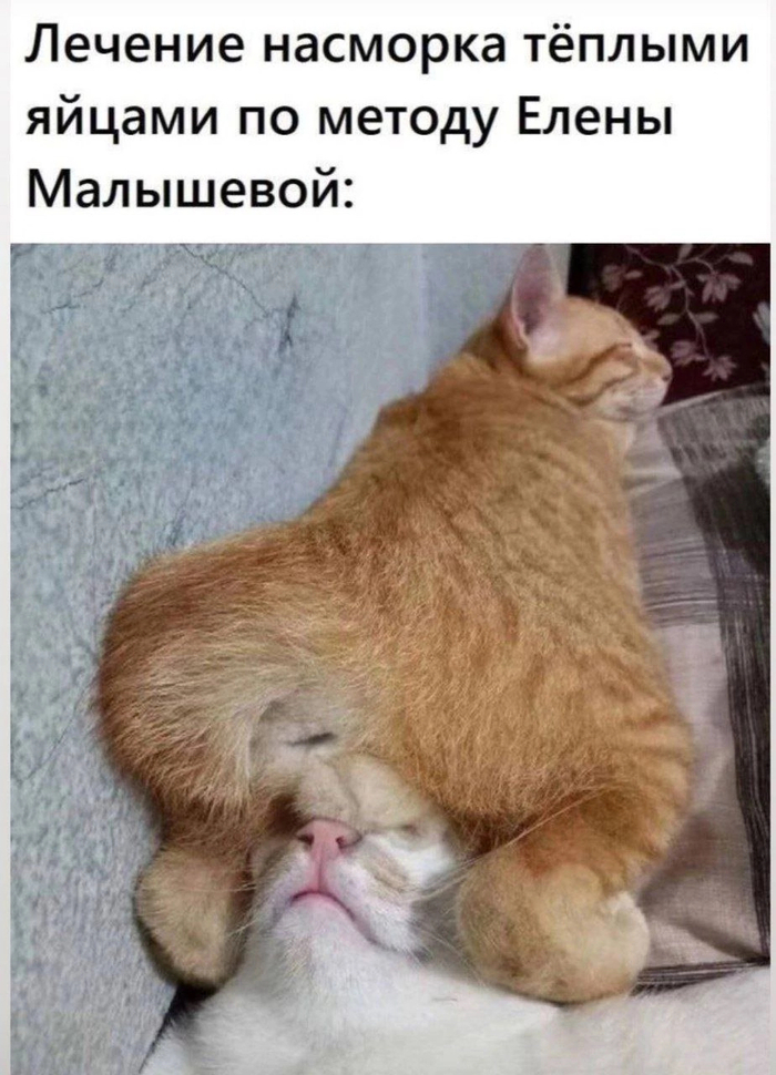  ,   , , ,   