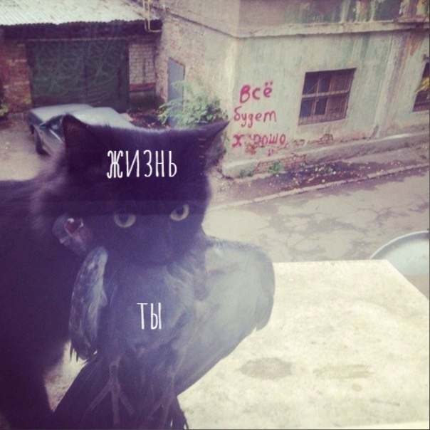 ��� ����� ������, �� ��� �� �����