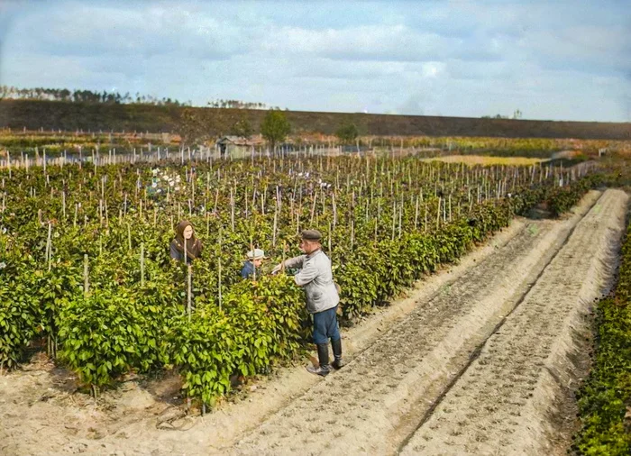 Жизнь Советской Москвы в 20-е годы. 20 раскрашенных фотографий. Часть II Историческое фото, Старое фото, 20 век, История города, Москва, Столица, 1920-е, Колоризация, Длиннопост