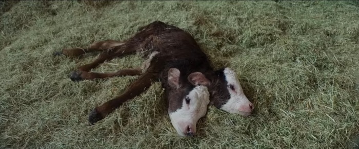 Чё-та Фоллаутом повеяло?