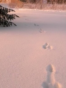 "����� �������������� �� �����". ���� � �����