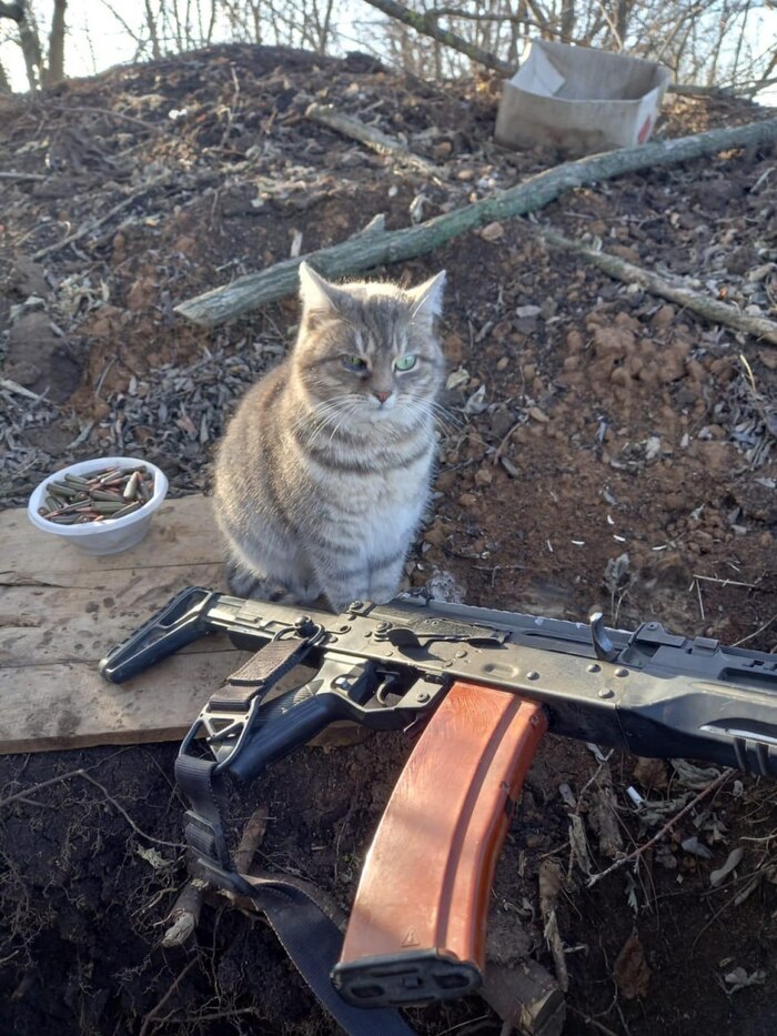 ����� ������� �������� ������ �����������