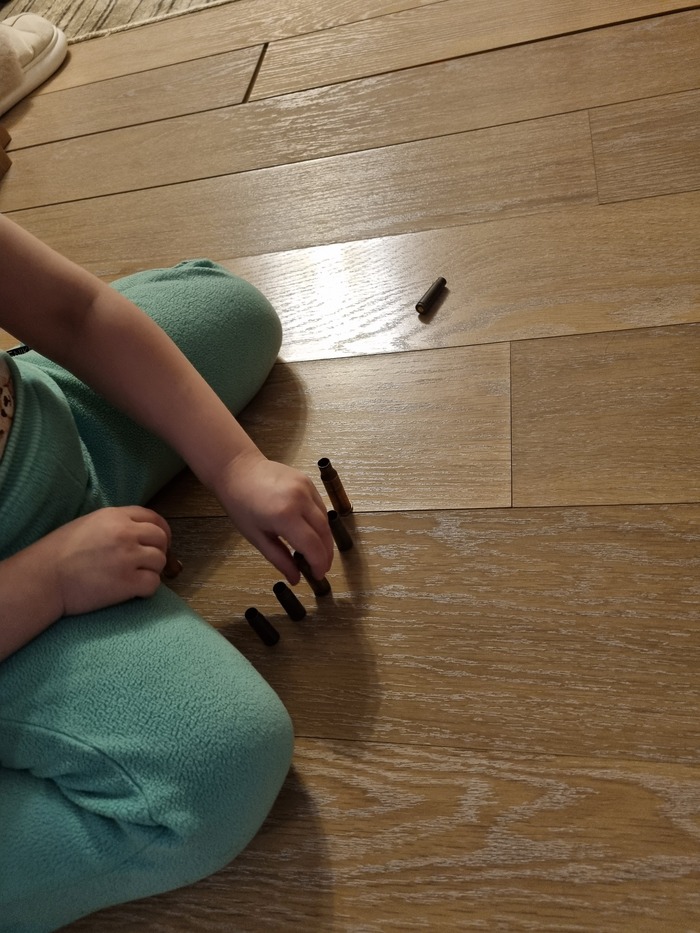 ���� ����� ������ � ��������