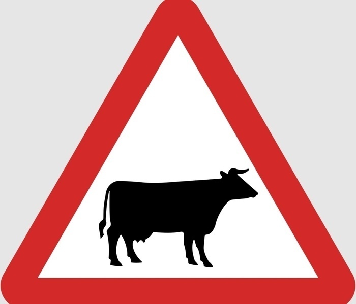      .   ,  , , , , , , , 