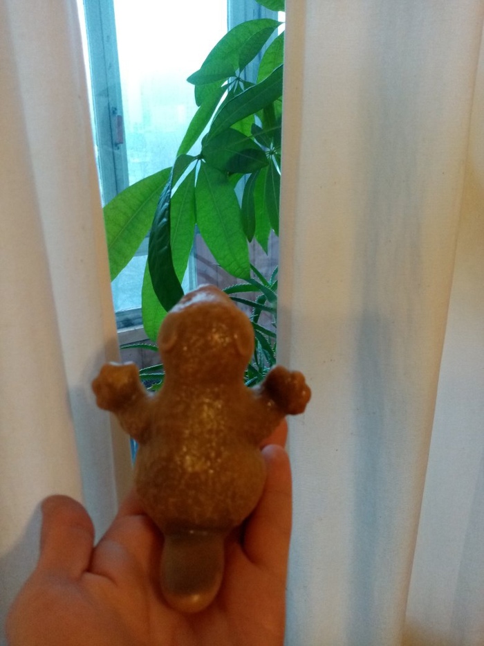 ����� 15. ���� �� �����