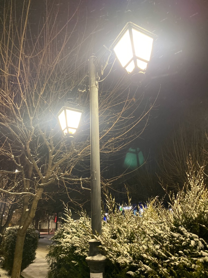 Трам уже как месяц в президентах