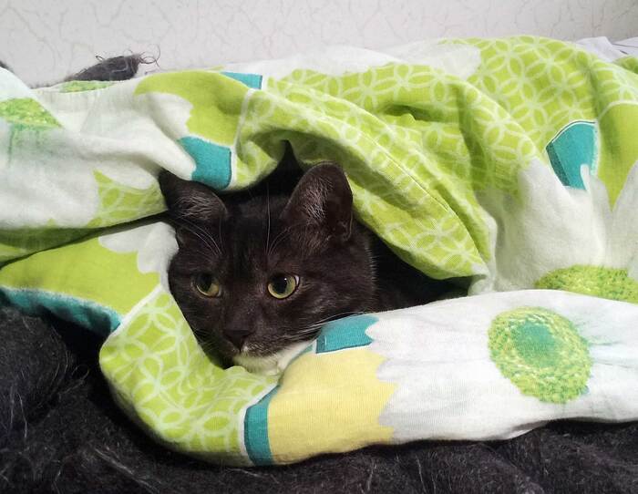 �� ��� ��� ���������. ����� �����. ���, �� ������ - ����� :-))))