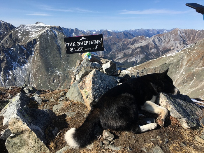        .  ""      .           . 