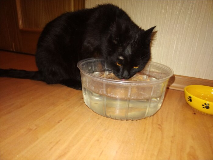 ��� ����� ������ ����� ��� ��������� ����������