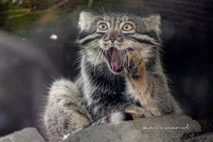 ������������!!! ��������!!!