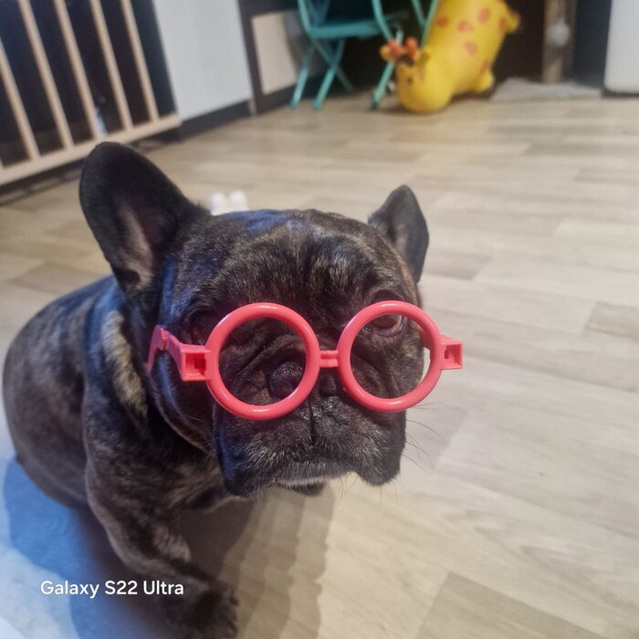 Умная умная голова