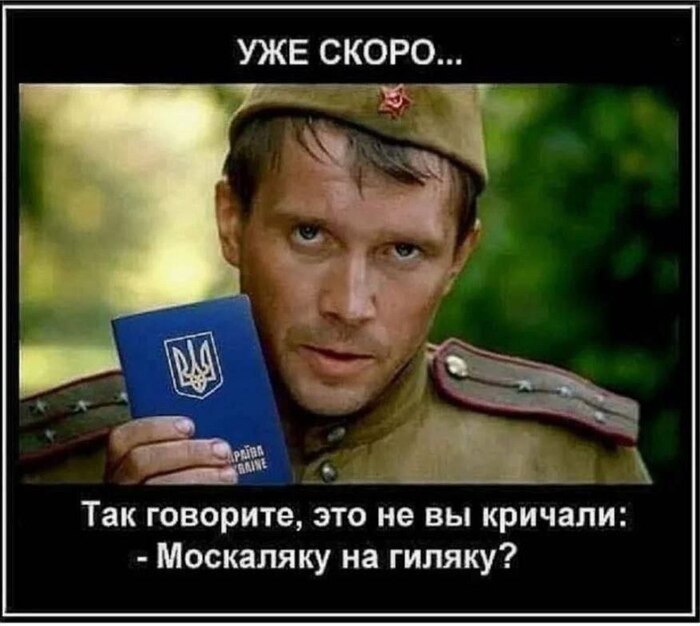   ?  , ,   , Telegram (), ,  , ,   44- (), , 