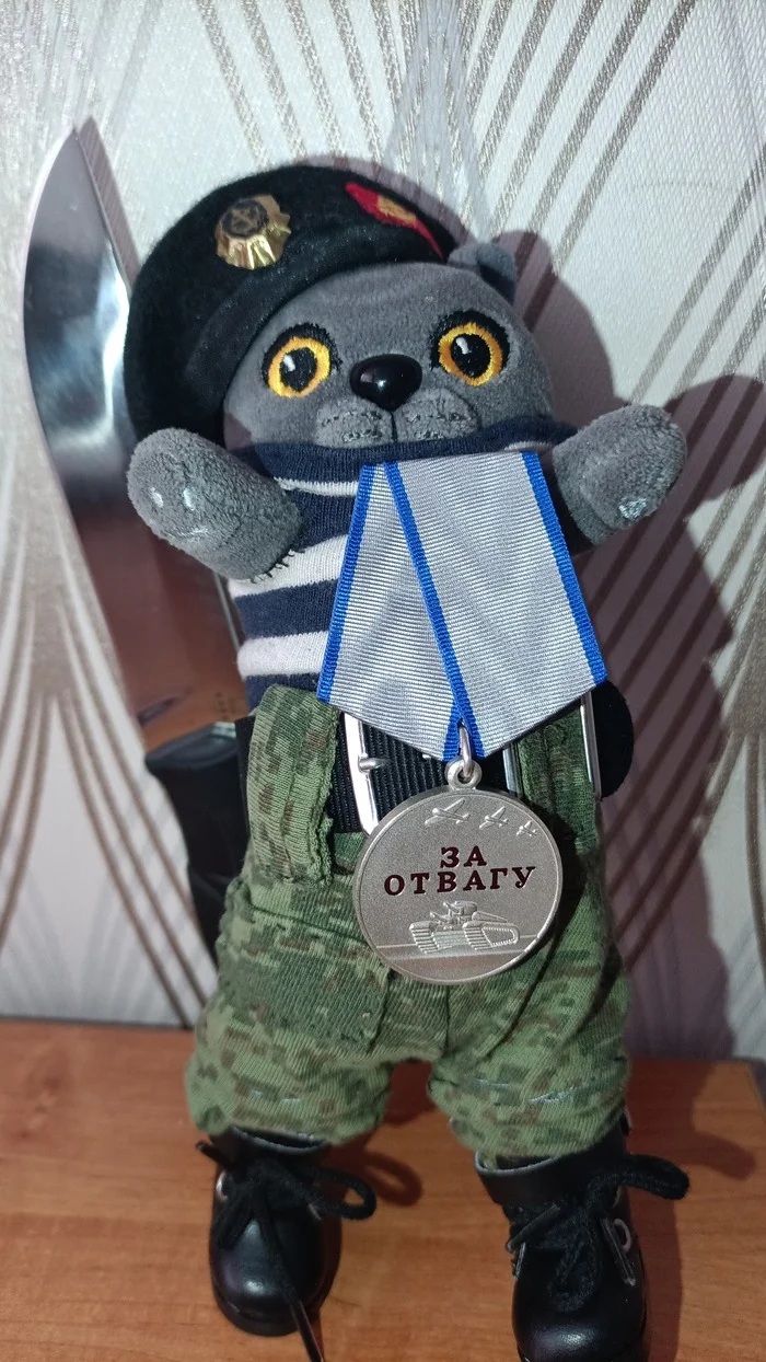 Кот радостем делився! - Моё, Спецоперация, Война, Медаль за отвагу, Морская пехота, Кот, Мягкая игрушка, Делюсь радостью, Медали СВО, Вооруженные силы