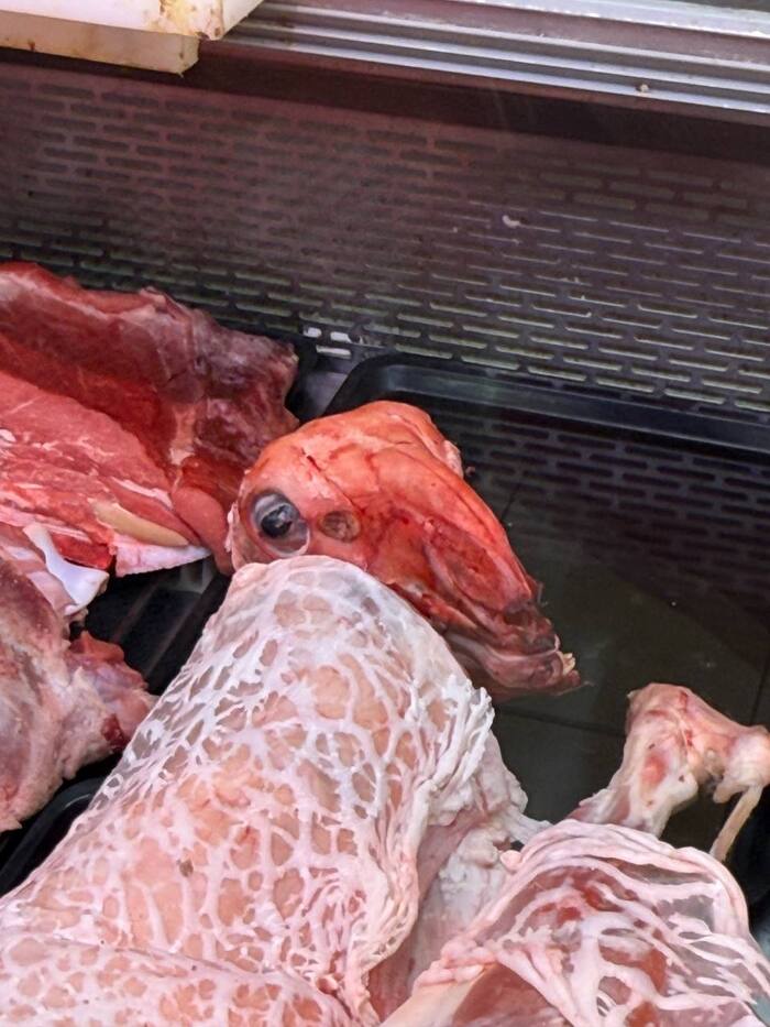      , , , , 