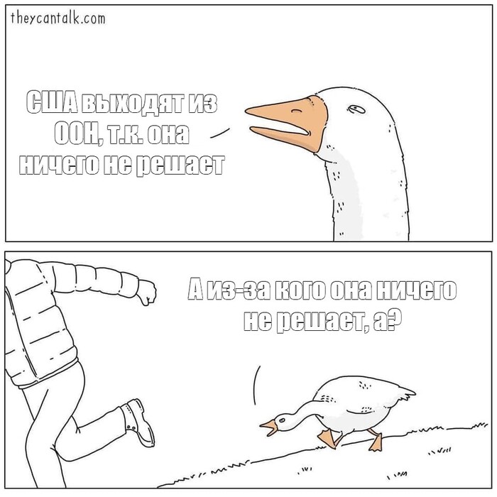    , , , , , , Theycantalk