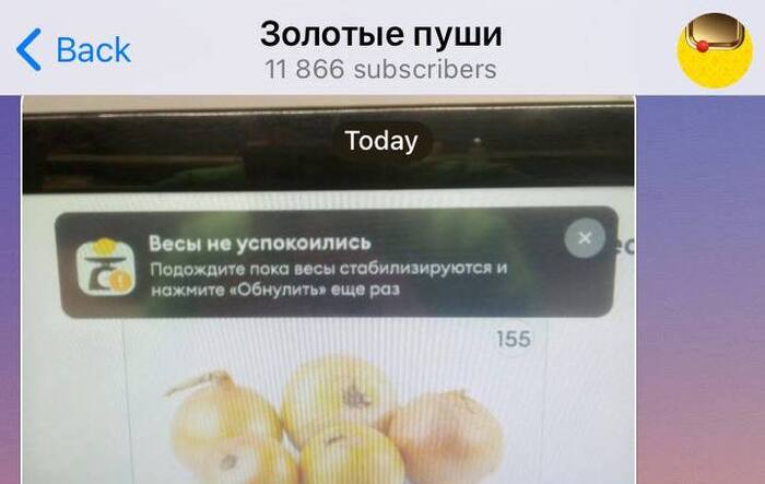 Да успокойте их уже кто-нибудь!