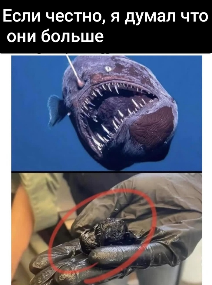 �� ����� ���