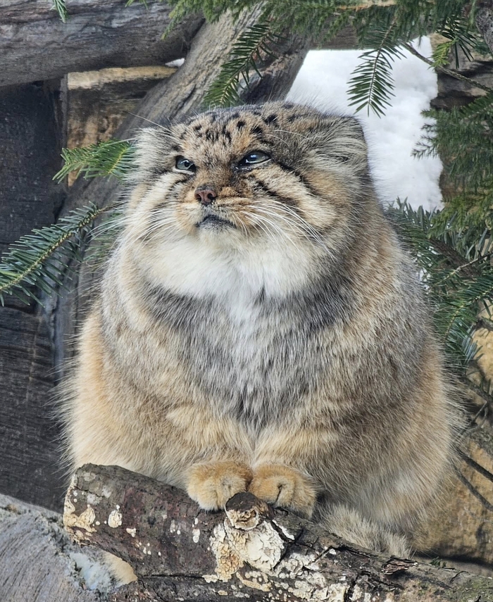 ���� �� ��� ������