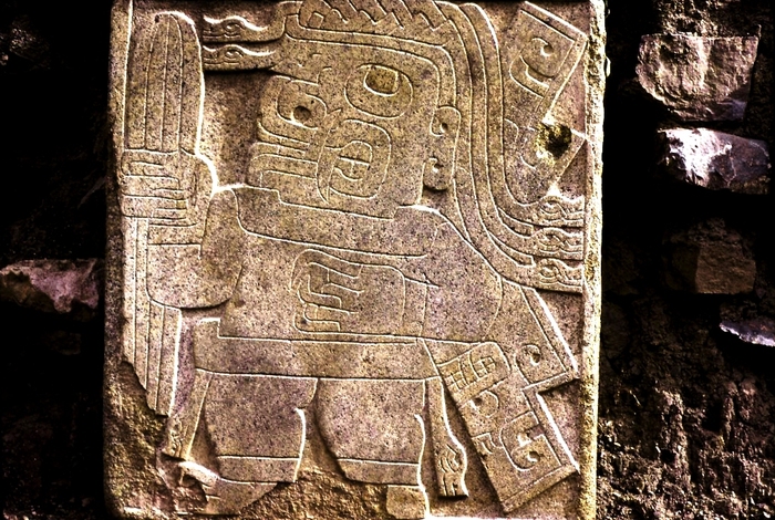     .    <!--noindex--><a href="https://pikabu.ru/story/gallyutsinogenyi_kaktus_sanpedro_12409248?u=http%3A%2F%2Fwikipedia.org&t=wikipedia.org&h=069e34549d8605623376d6a956946f0dddfb7907" title="http://wikipedia.org" target="_blank" rel="nofollow noopener">wikipedia.org</a><!--/noindex-->.