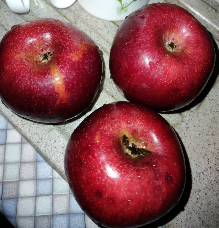 РАССКАЖИТЕ СВОЮ ИСТОРИЮ! @santslava, @grafjulia