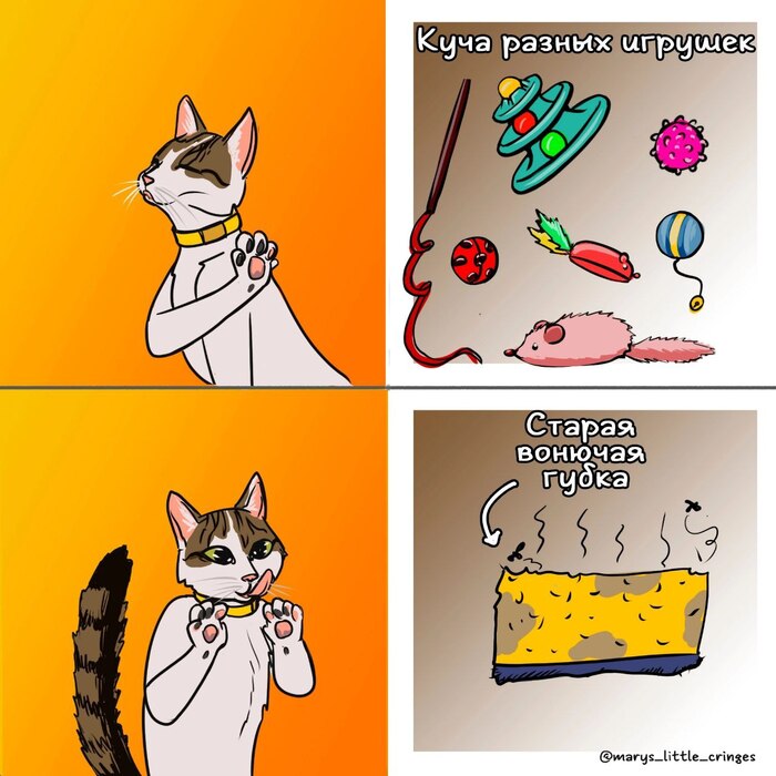  -   , , , 