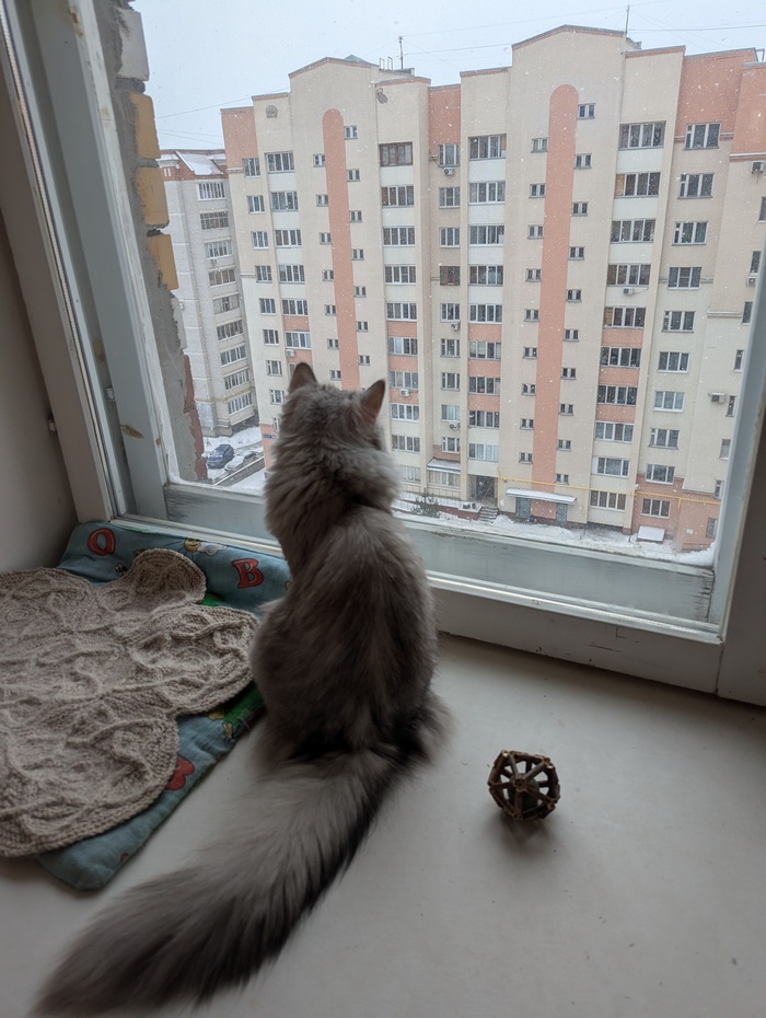       ,  , , 
