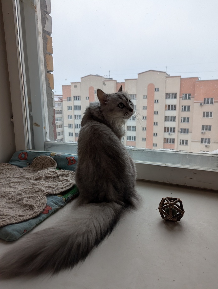       ,  , , 