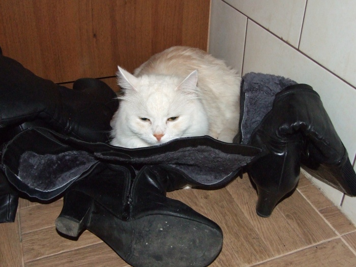 Растолкал и повалил всё сам.