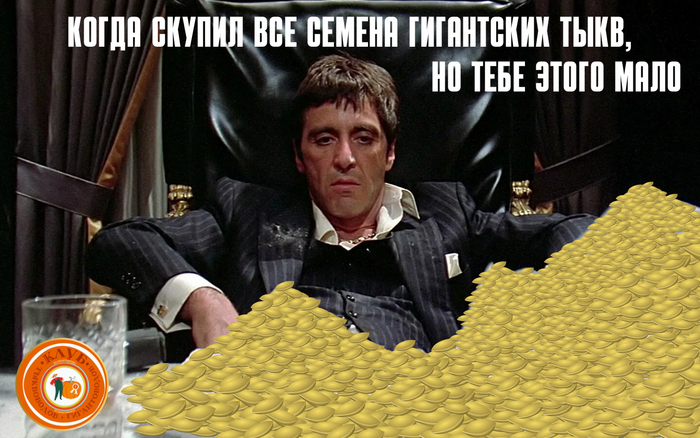 0% , 100% 