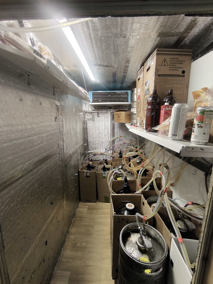 ������ �����������