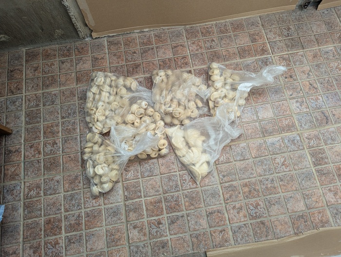      ,  , 