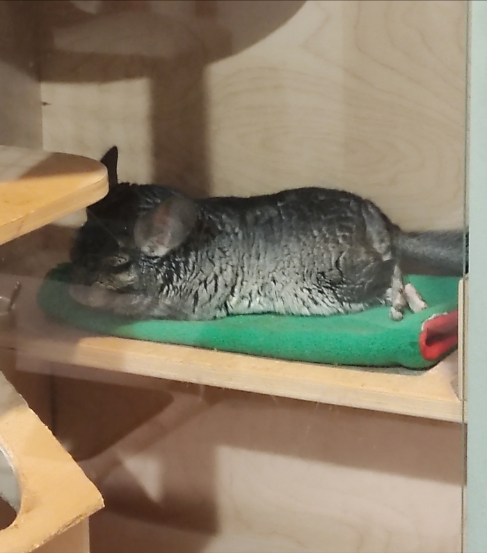    , ,  , 