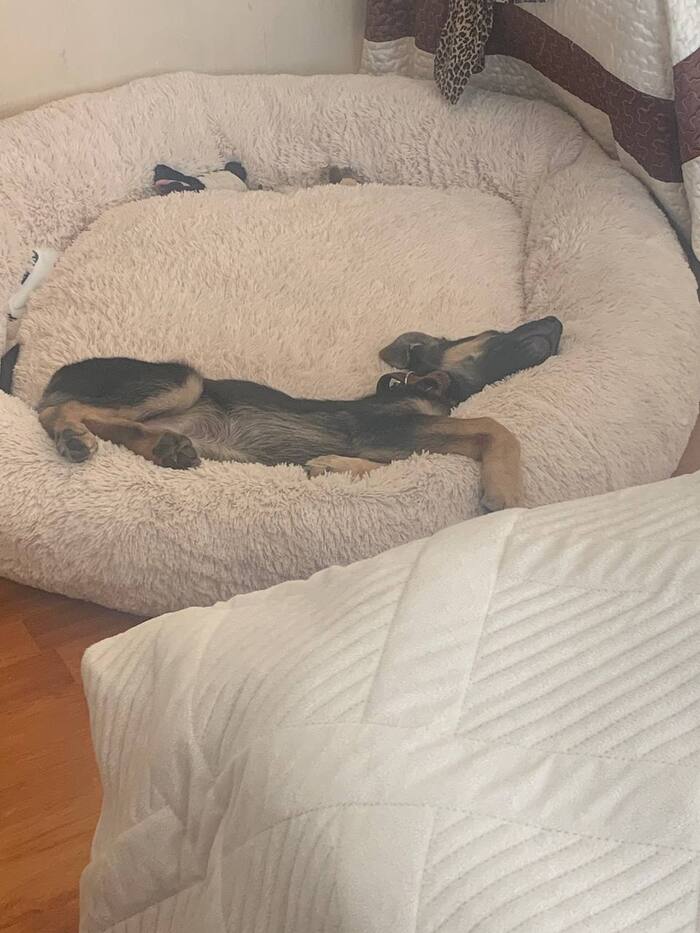 ����� ����� ��������