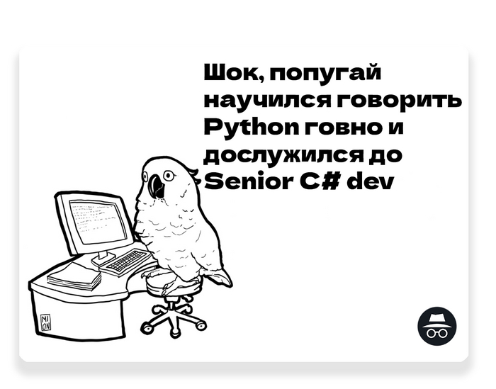  IT, , , IT , , , Python,   