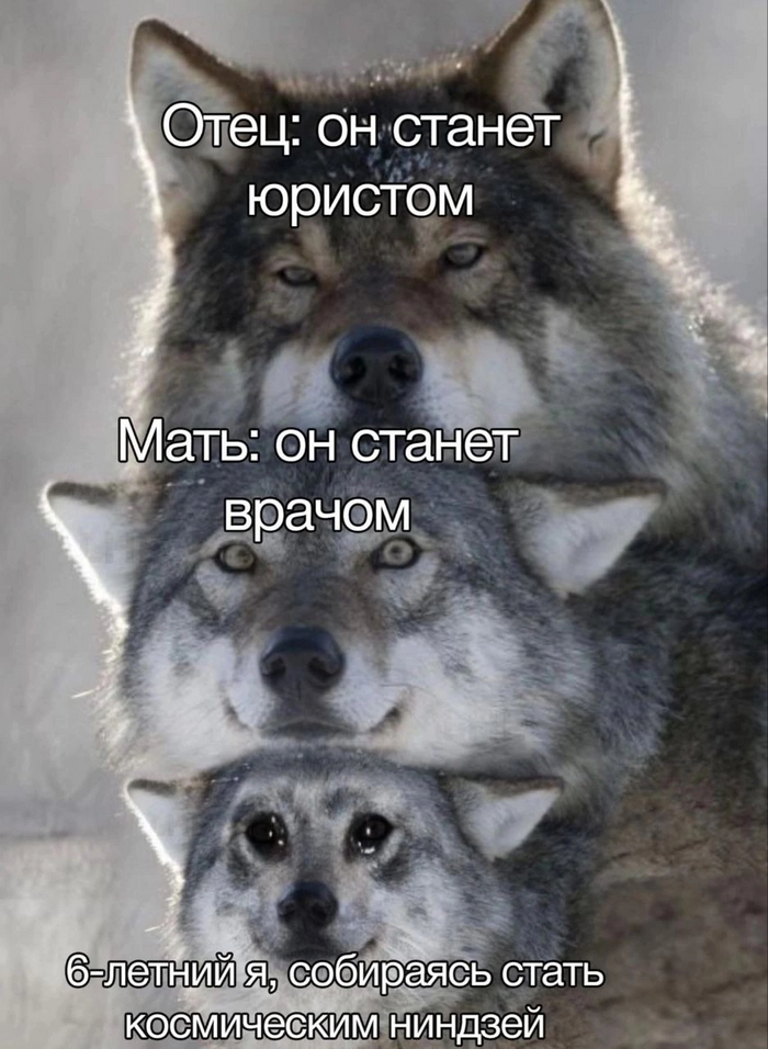  ,    ,    ?   , ,   , 