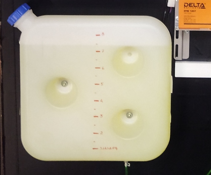 ��� ���������� ���������. �������� ���������� ����. INGF