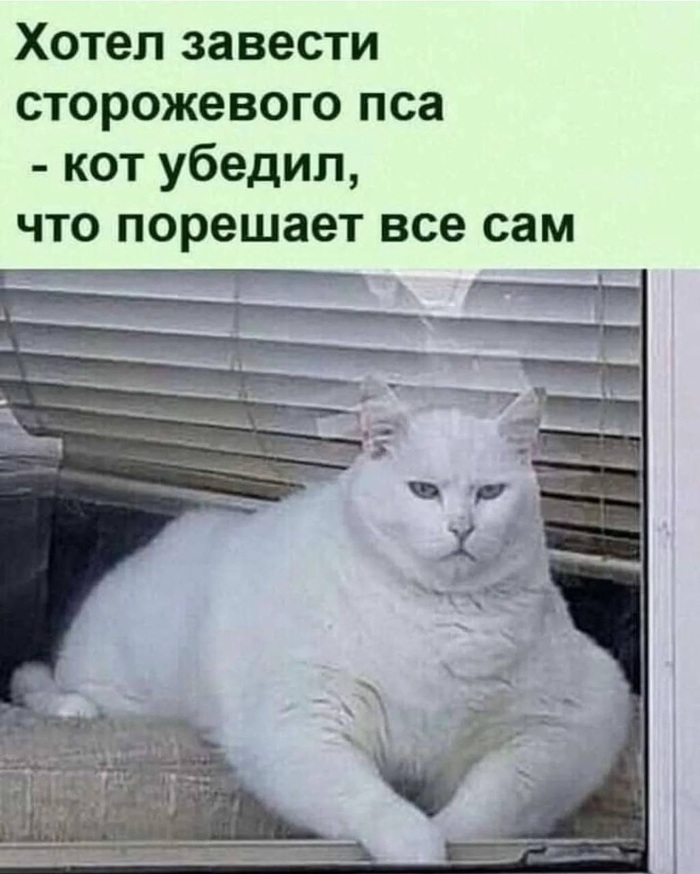   , , , , , ,   
