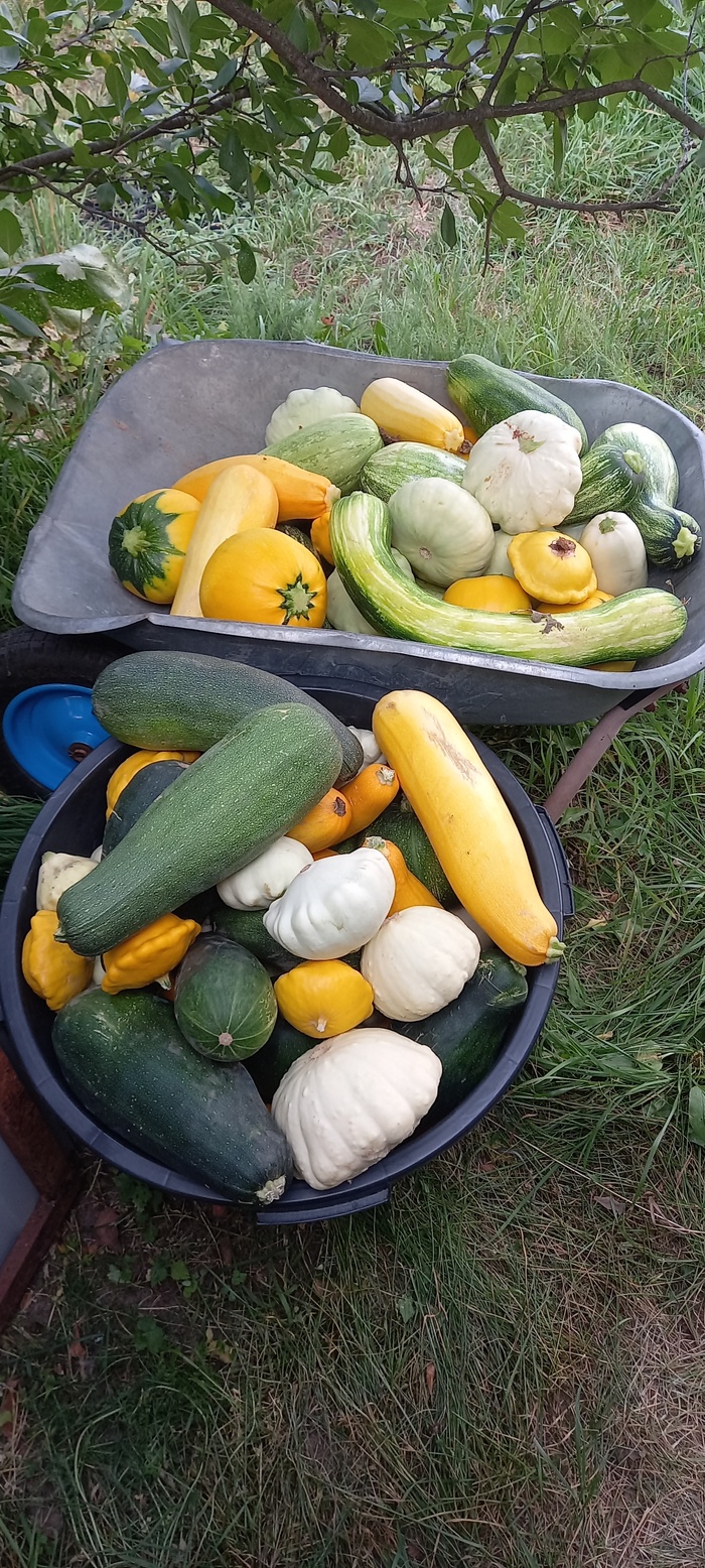 ��, ��� ���� �������, ��� ���� �������������� ������.