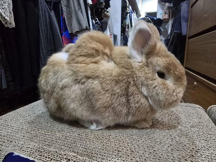  , ,  ,  , Reddit, 