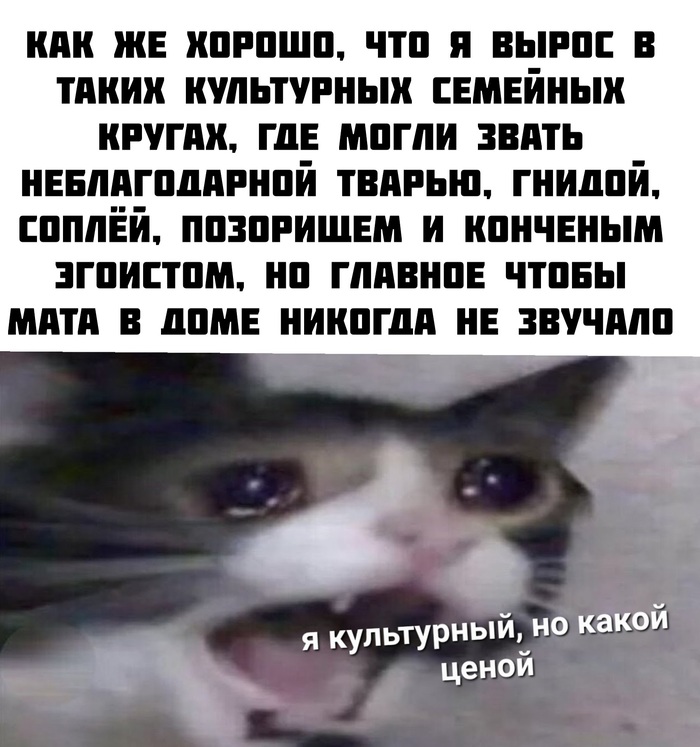  ,        , ,   , ,  , , 