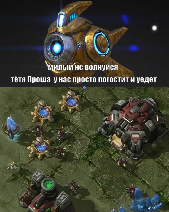 Ҹ  Starcraft 2, , ,  , ,   
