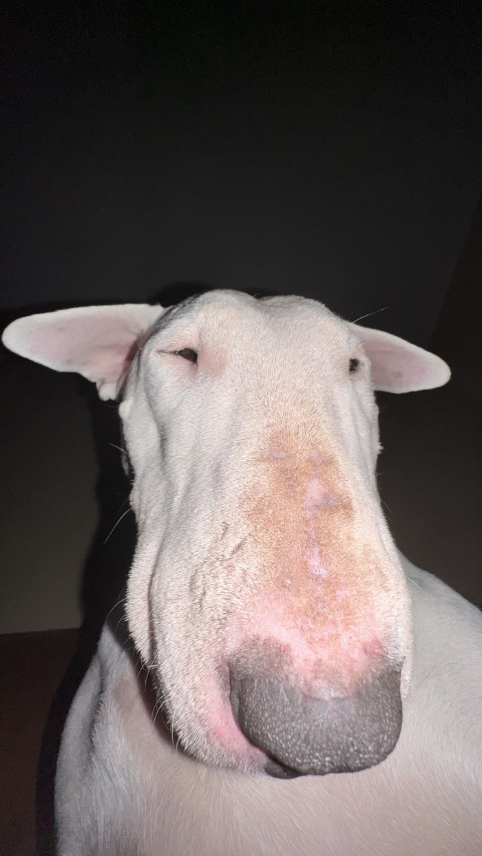 ���������� ������, ��� ���� ��� � ���� ����