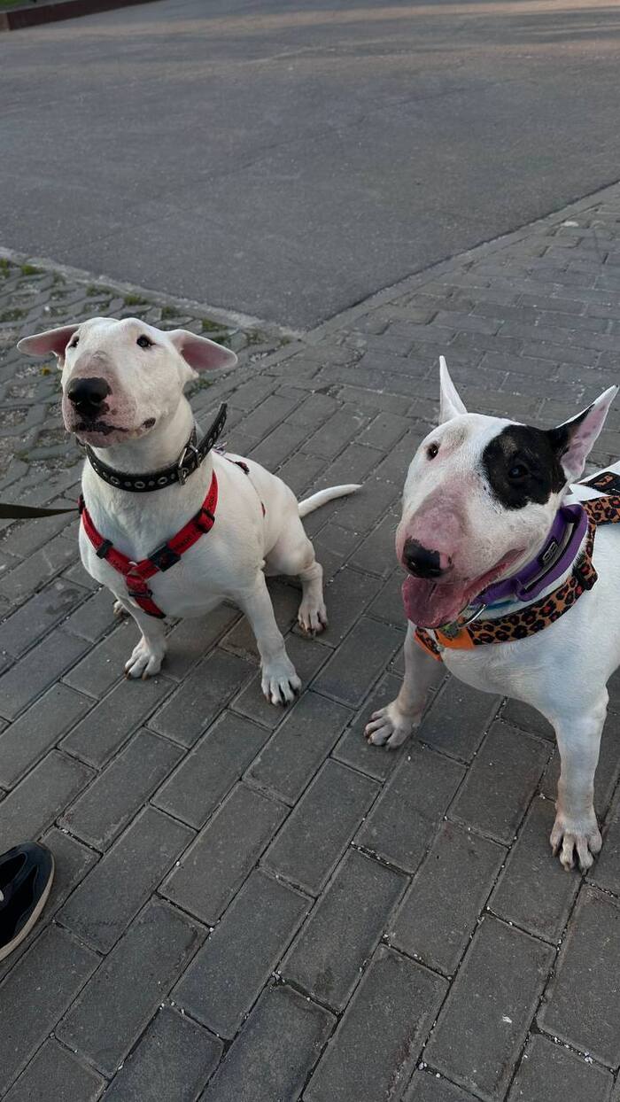 ��� ���������� �� ��������� ������������ 