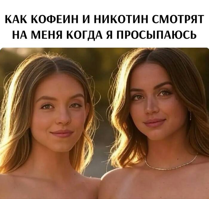    ,   , , , , , Telegram (),   