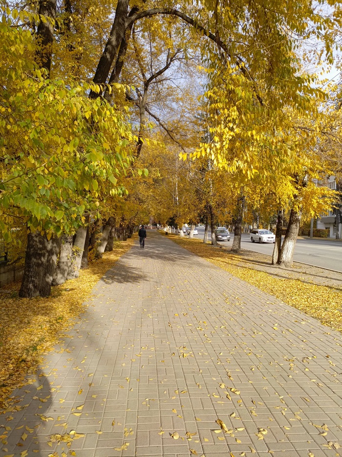 � ������ ������ ���� ������ ������� � ��������������� ��! =)