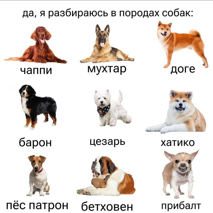 ���������� ������