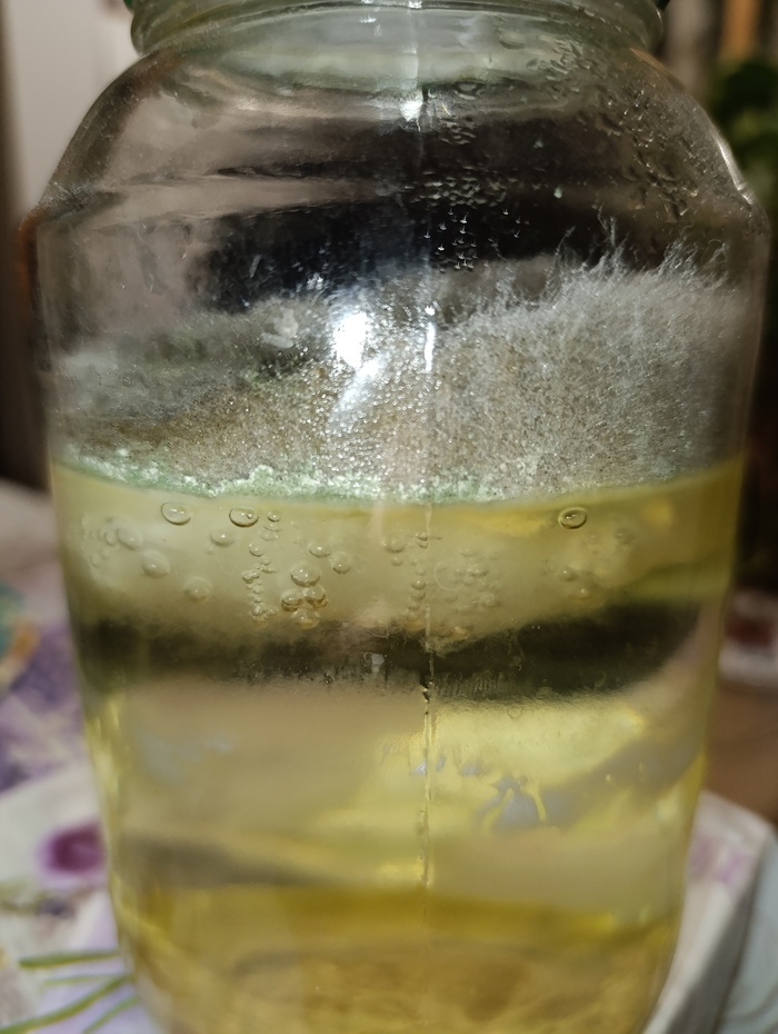 ������ - �������������� ����������? 