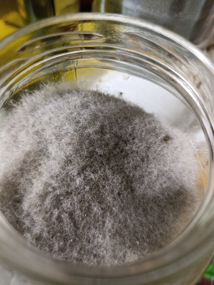 ��������? ����� ������� � ������� ������� ��������